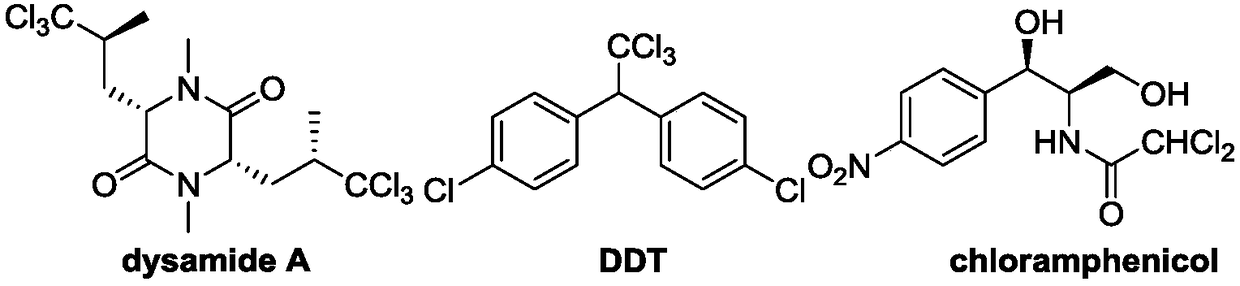 Polychloromethyl-substituted indoline compound and synthetic method and application thereof