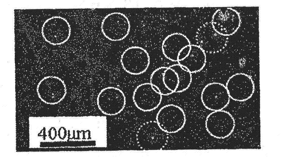 Silicon carbide epitaxial wafer and process for production thereof, silicon carbide bulk substrate for epitaxial growth purposes and process for production thereof, and heat treatment apparatus