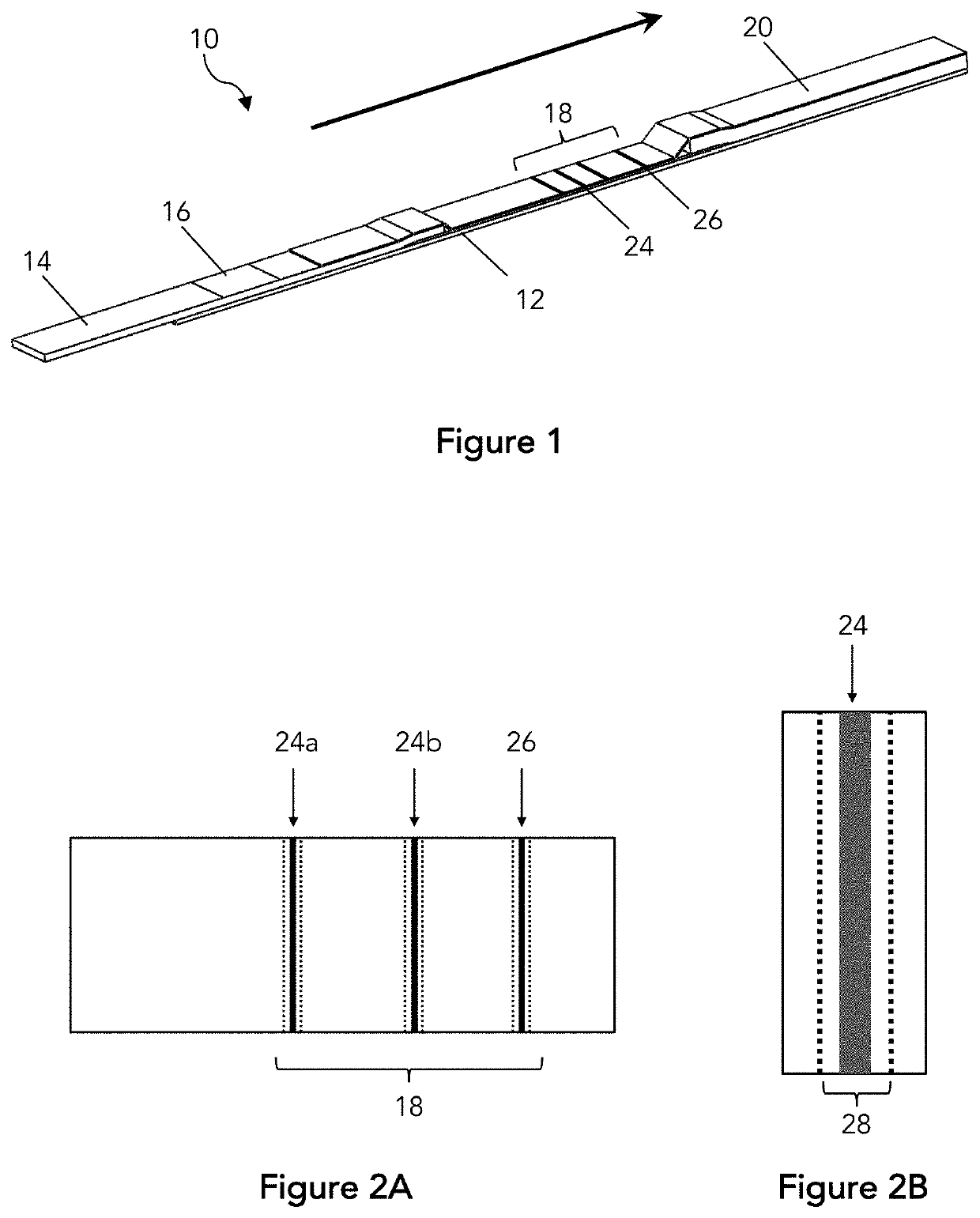 Assay membrane test region localization