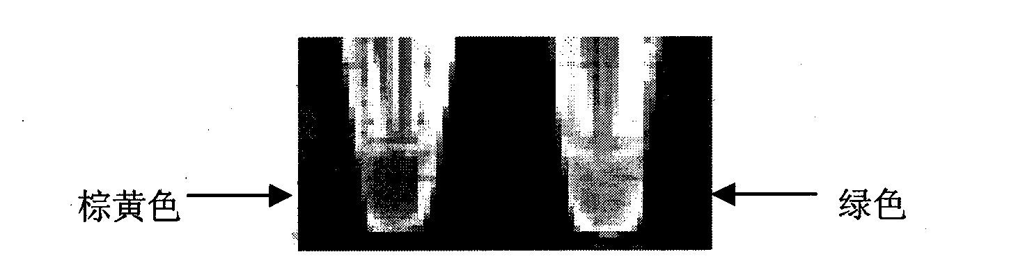 Reagent kit and method for detecting bacillus cereus with loop mediated isothermality amplification method