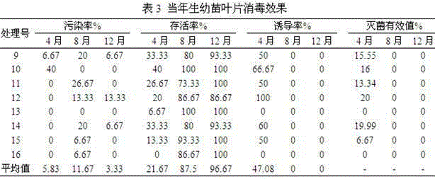 Tissue culture disinfection and sterilization formula of ormosia henryi prain and tissue culture method of ormosia henryi prain