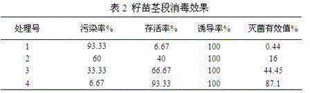 Tissue culture disinfection and sterilization formula of ormosia henryi prain and tissue culture method of ormosia henryi prain