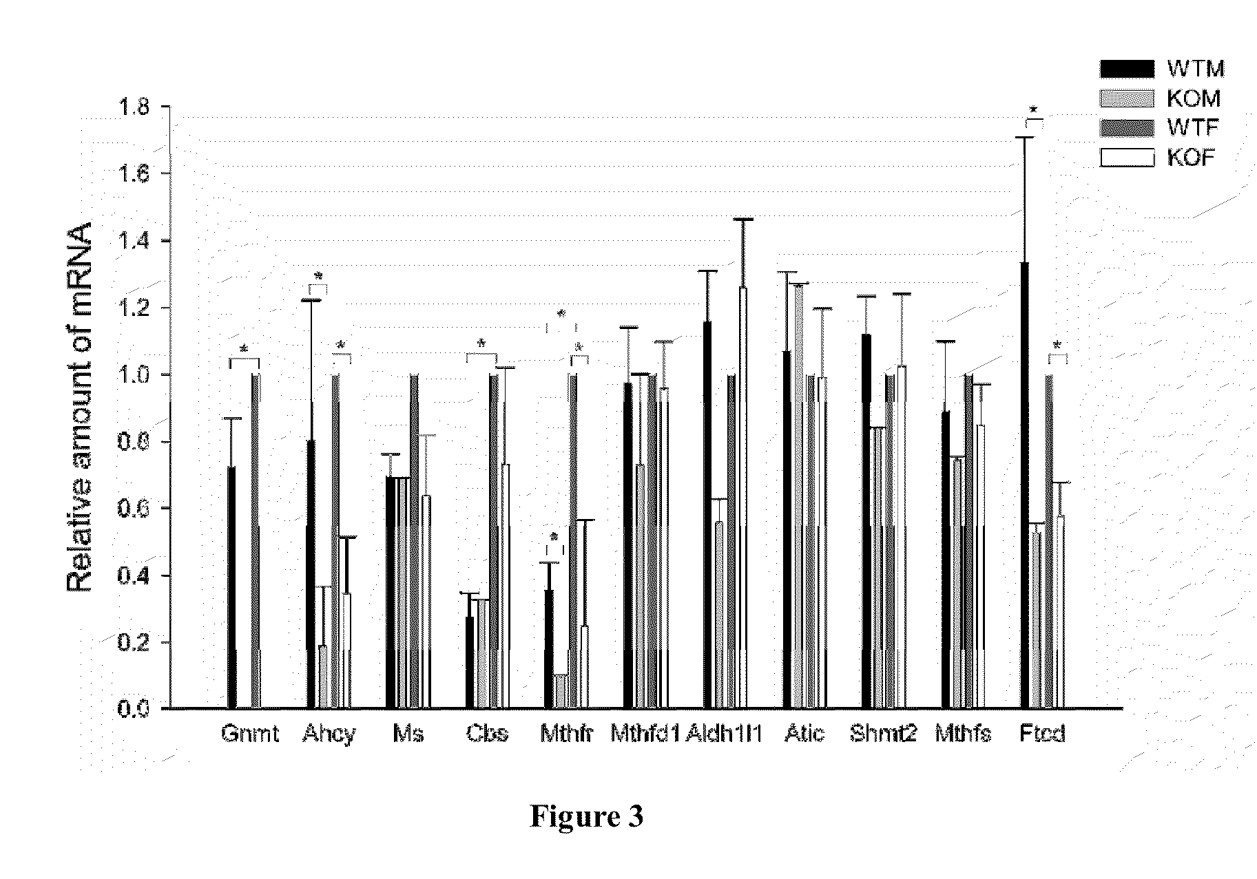 Glycine N-methyltransferase (GNMT) Animal model and use thereof