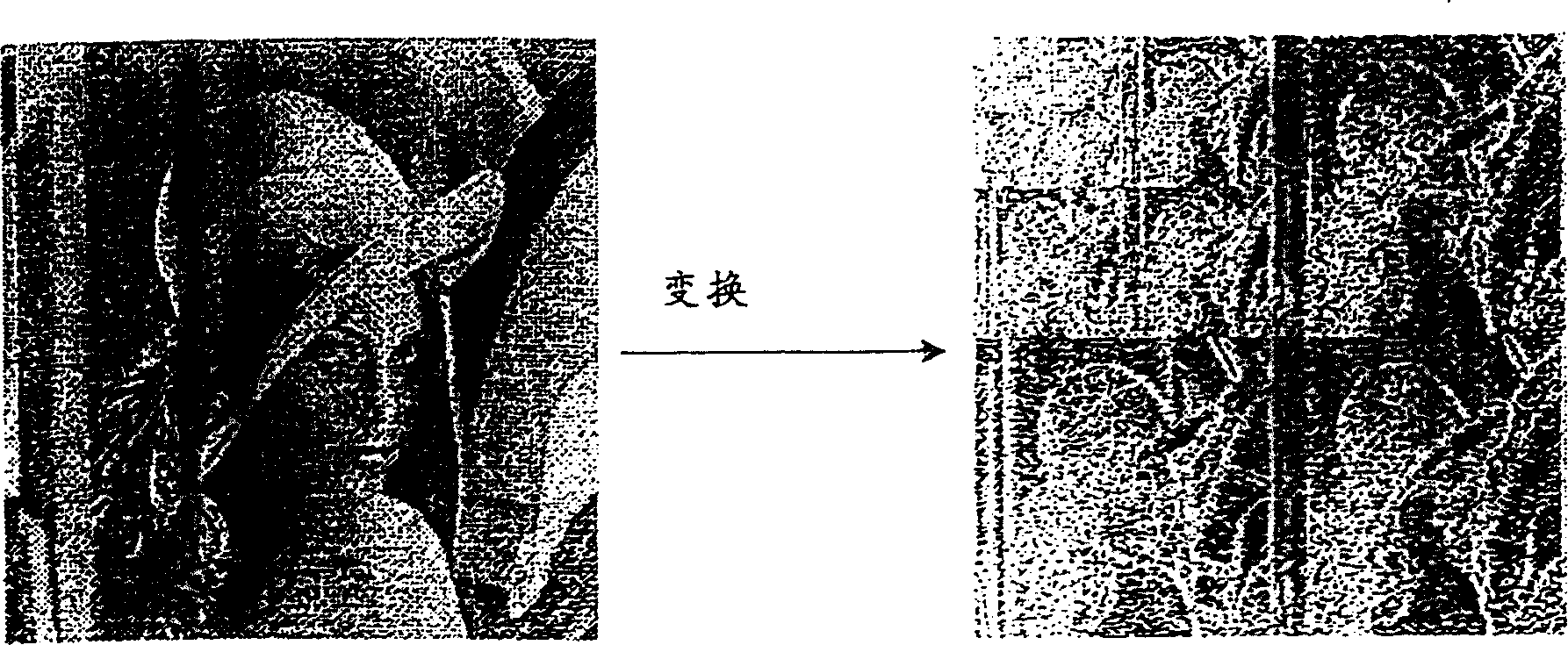 Embedded quadtree wavelets in image compression