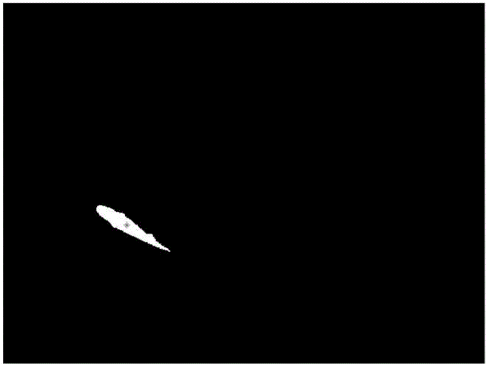 Parallax-based three-dimensional trajectory tracking method of fish movement