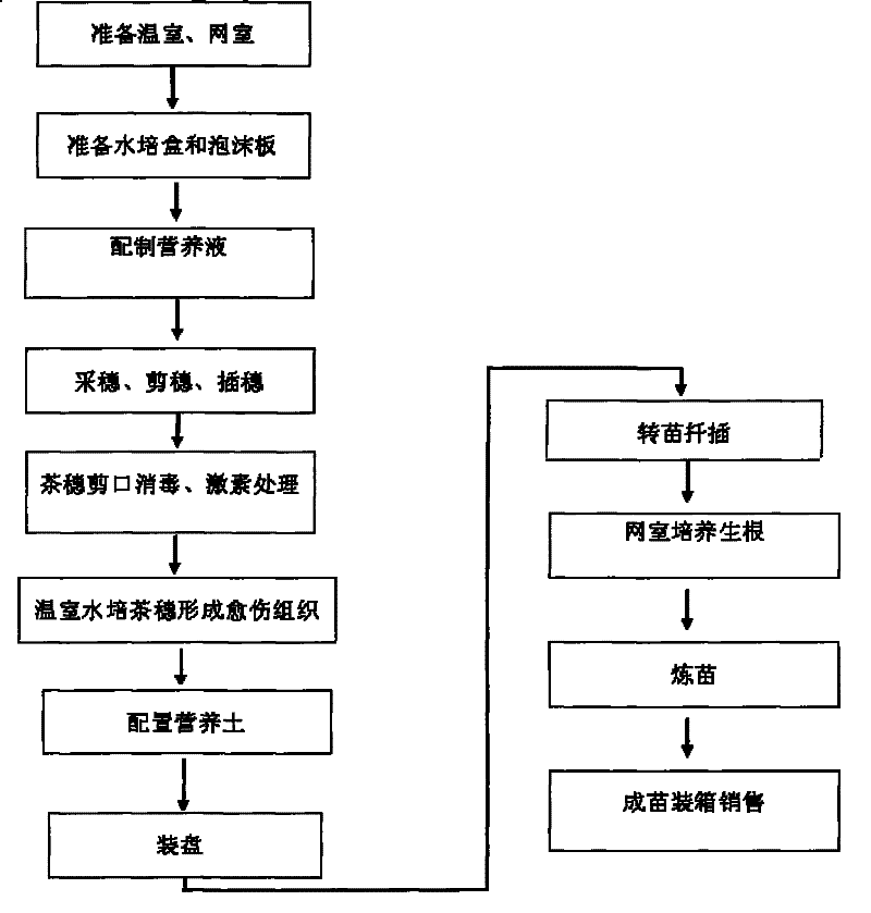 Industrial fast breeding method for white tea