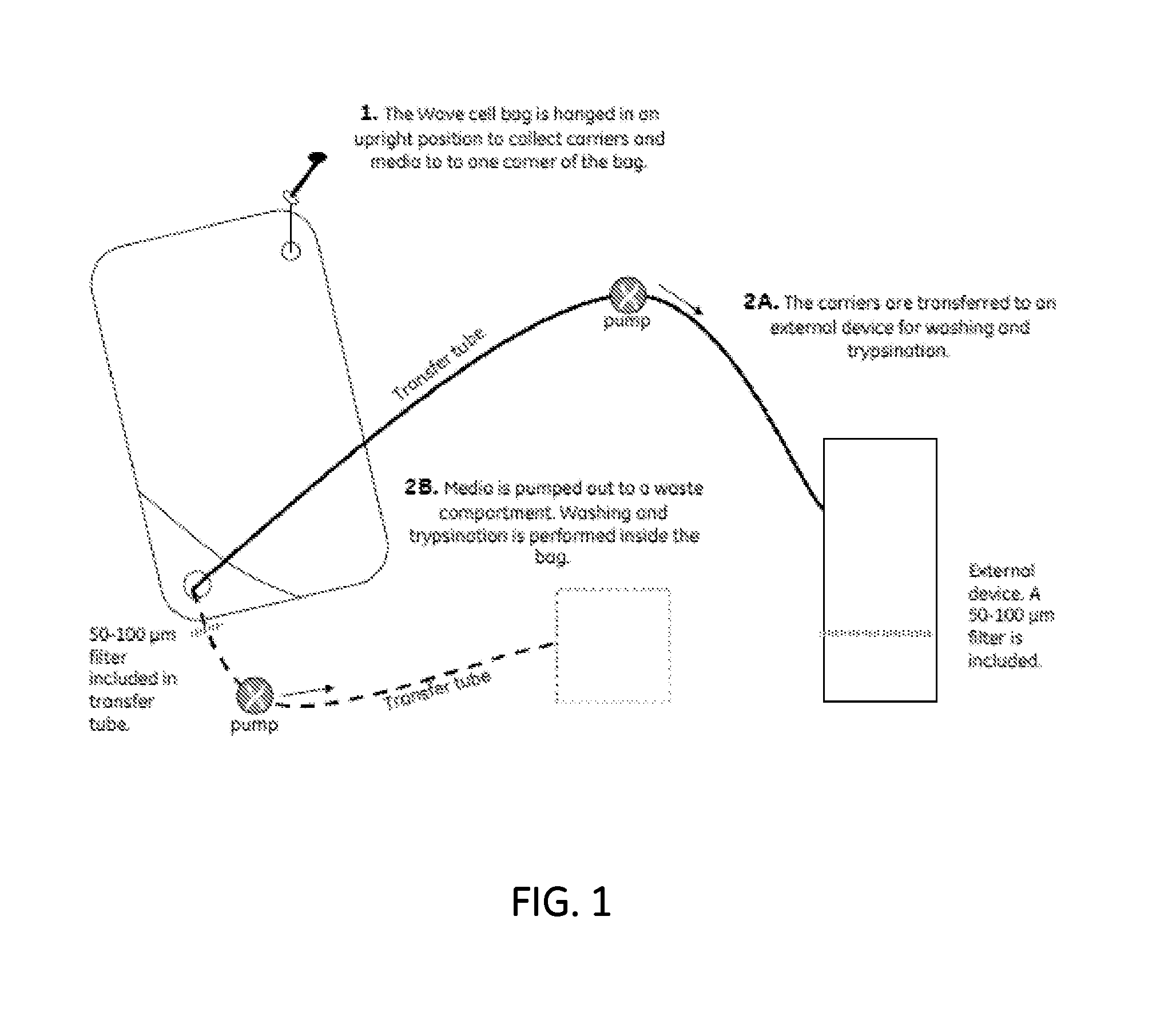 Method for cell expansion