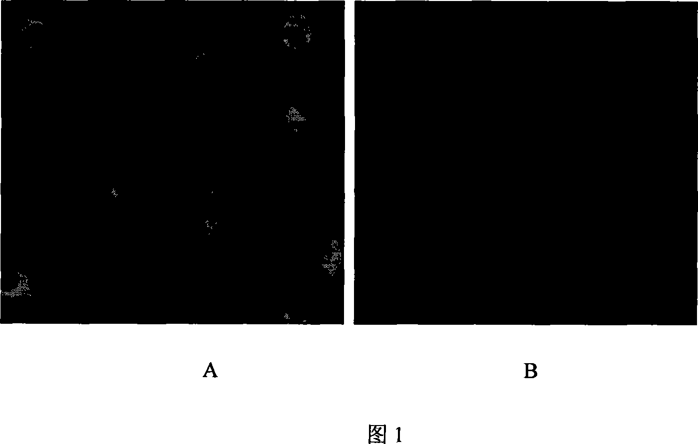 Application of cytoplasm targeting administration system capable of reversing tumor cell resistance