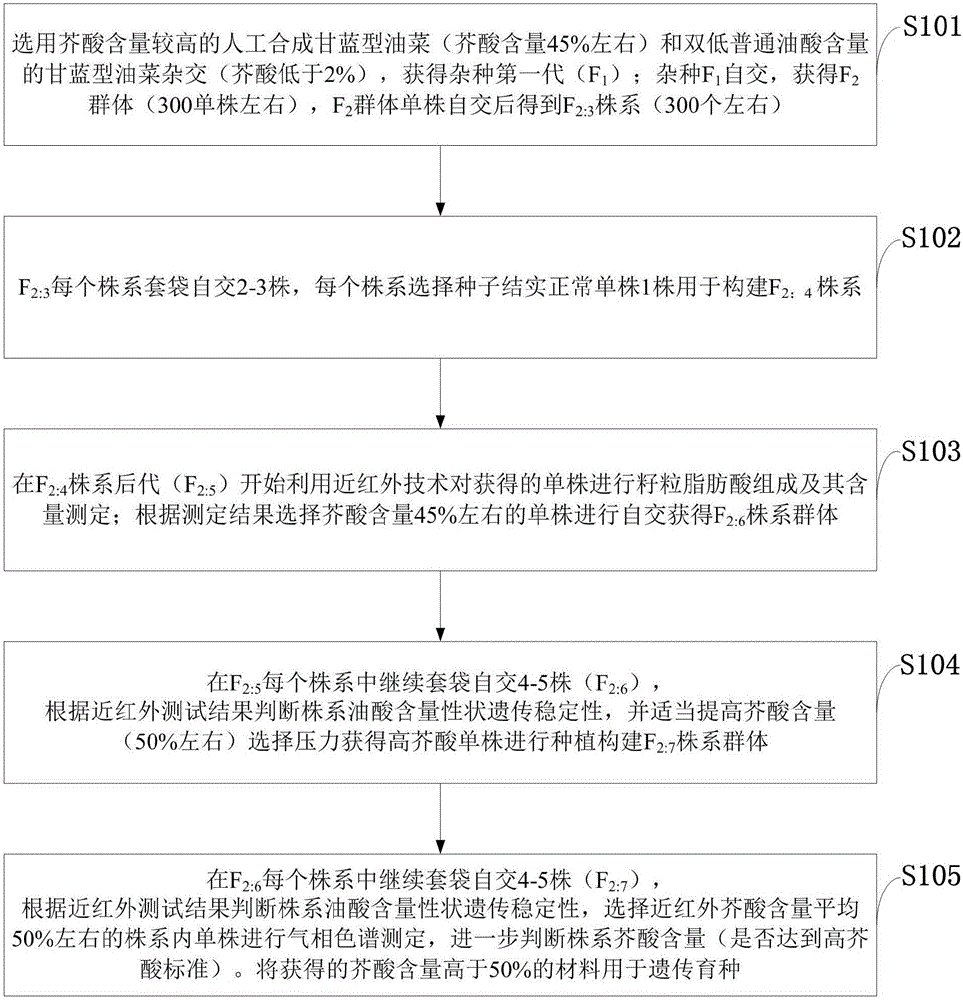 Method for preparing high-erucic acid brassica napus by utilizing artificially synthesized brassica napus