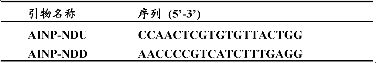 Positive control composition for reverse transcription polymerase chain reaction kit and preparation method thereof