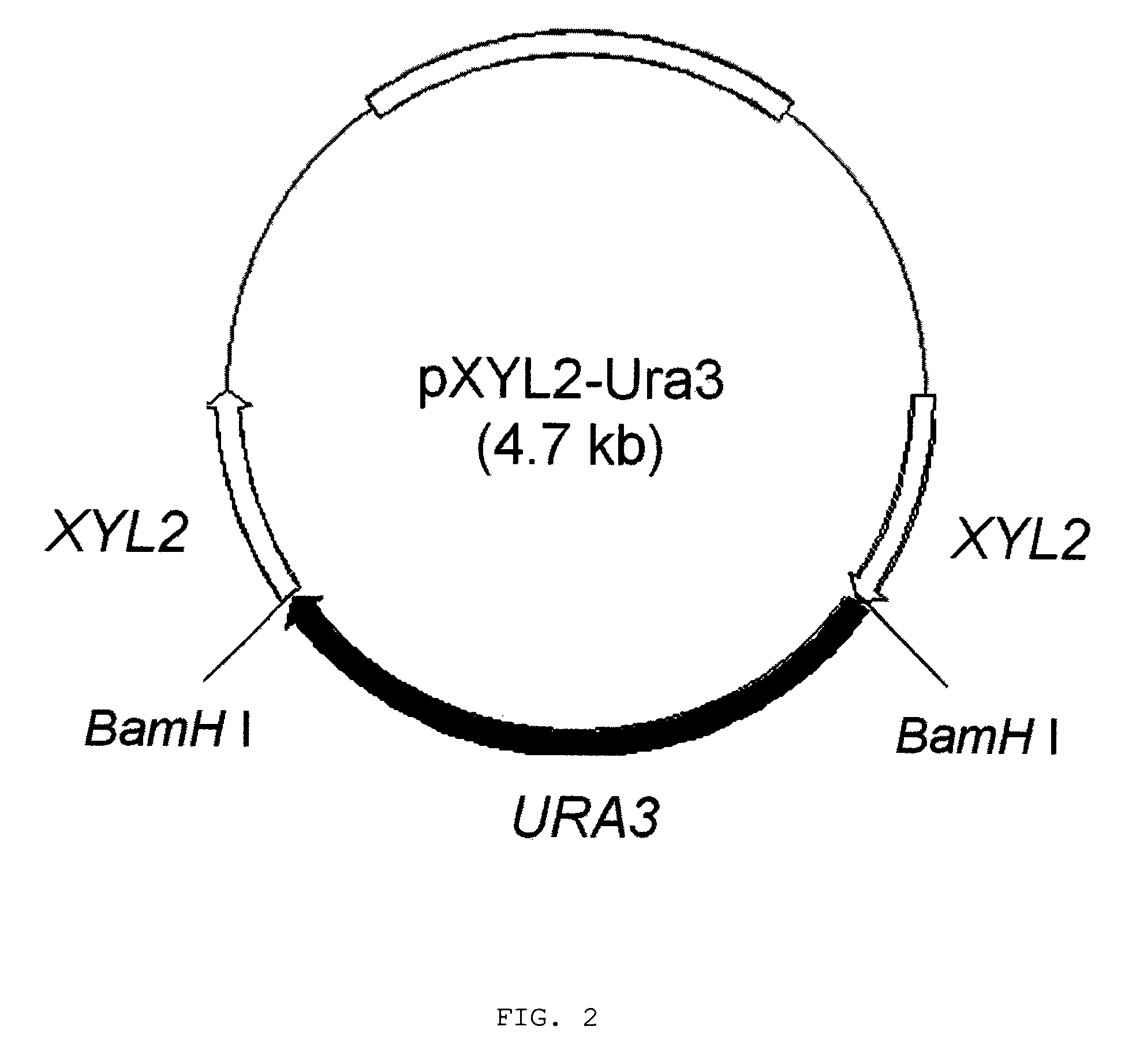 Method for manufacturing xylitol with high-yield and high-productivity