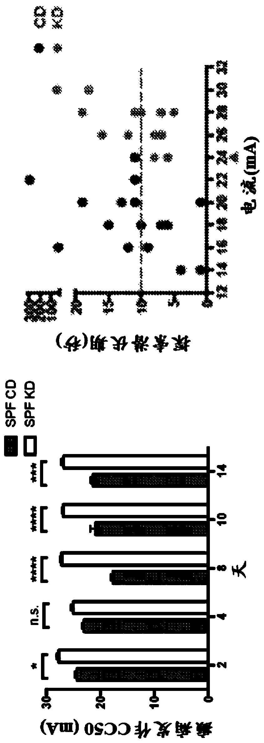 Compositions and methods for inhibiting seizures