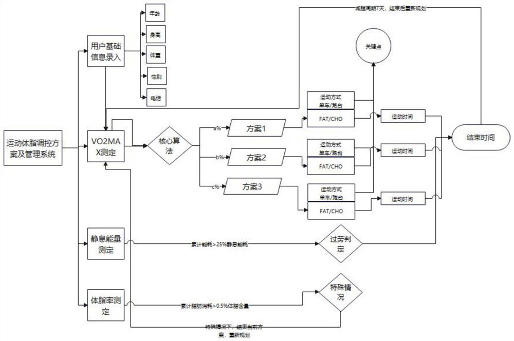 Personalized body fat regulation and control management method and system based on exercise energy consumption monitoring