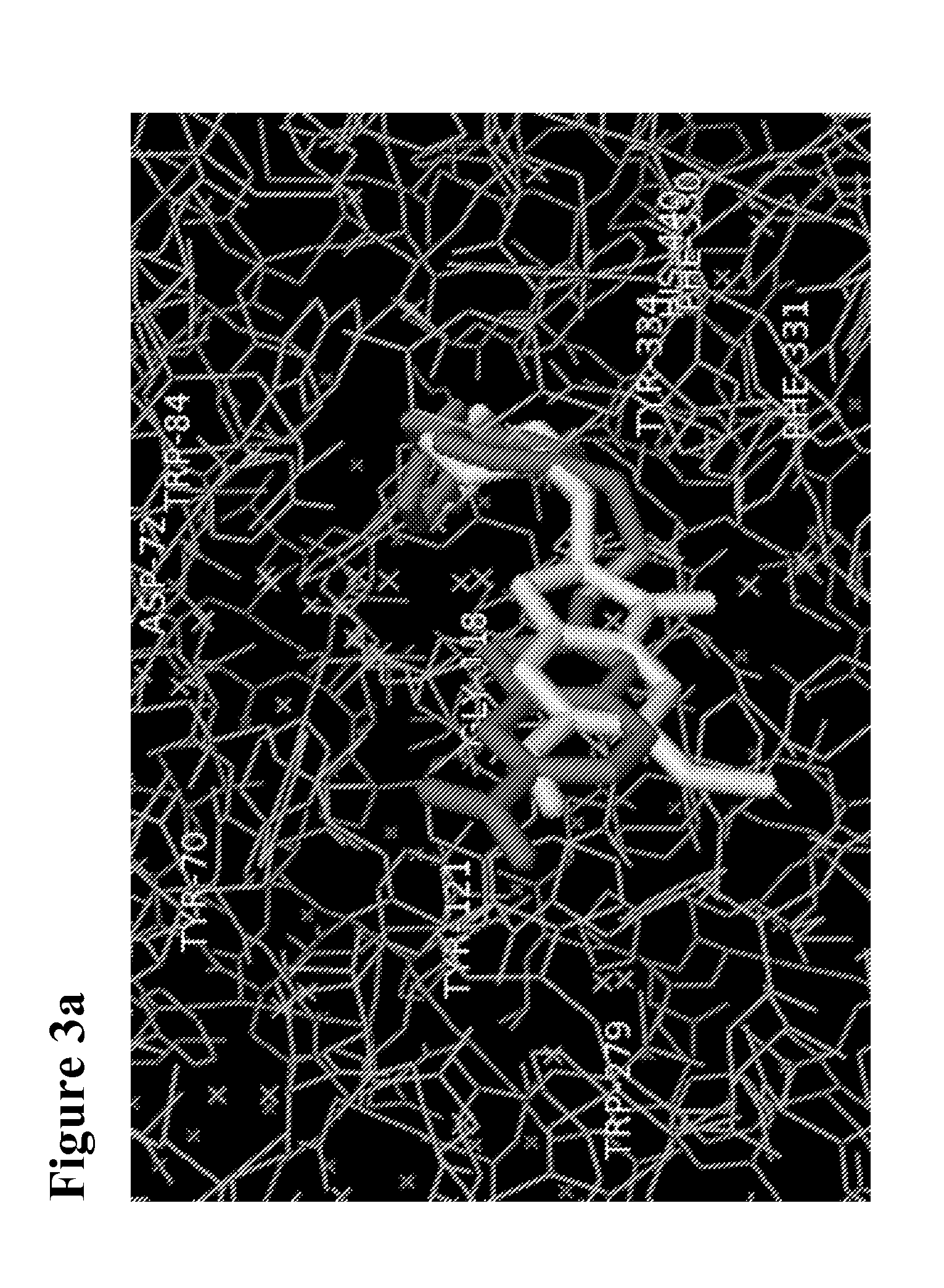 Benzothiazole-based Pyridinium Compounds for the Treatment of Neurodegenerative Diseases or Nerve Agent Exposure