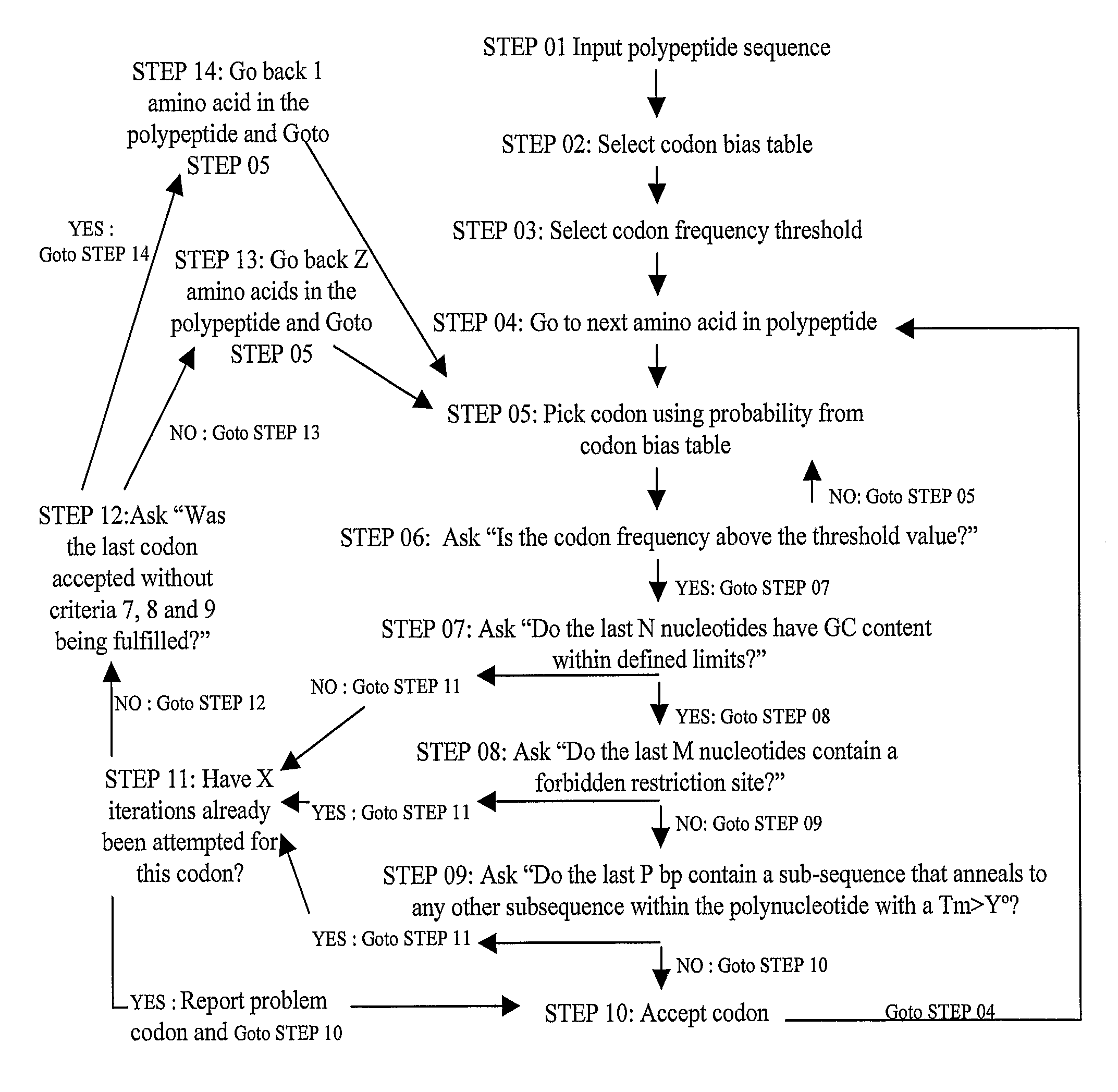 Design, Synthesis and Assembly of Synthetic Nucleic Acids