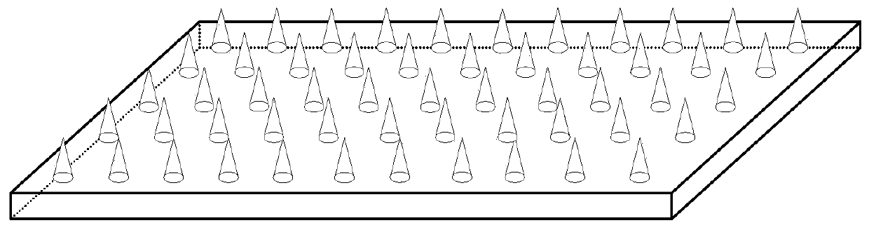 Microneedle paster for replenishing water and dispelling wrinkles and preparation method of microneedle paster