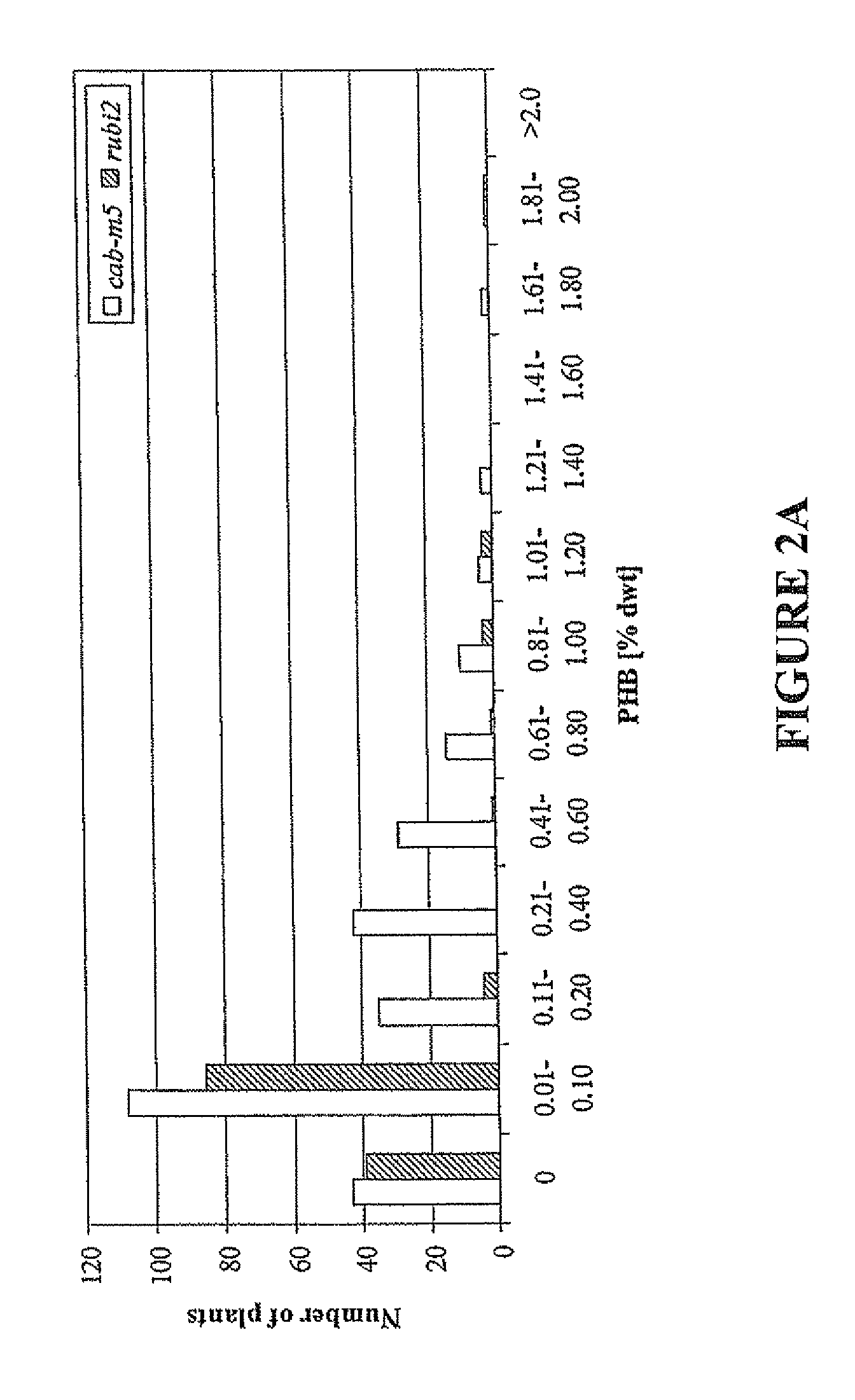 Production of polyhydroxybutyrate in switchgrass