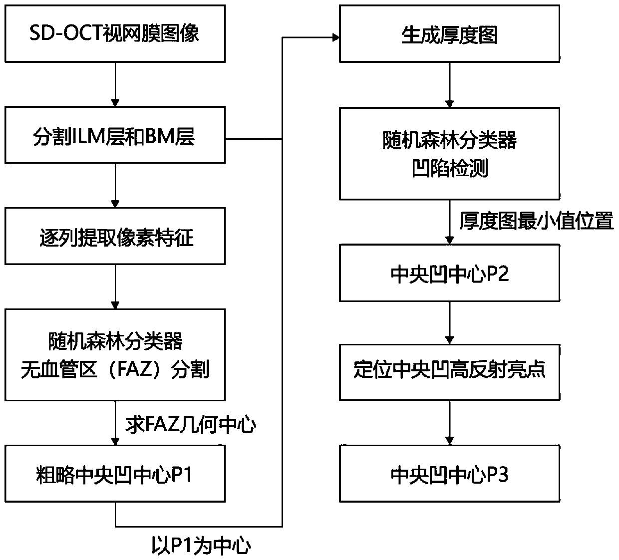 SD-OCT image macular fovea centralis center positioning method
