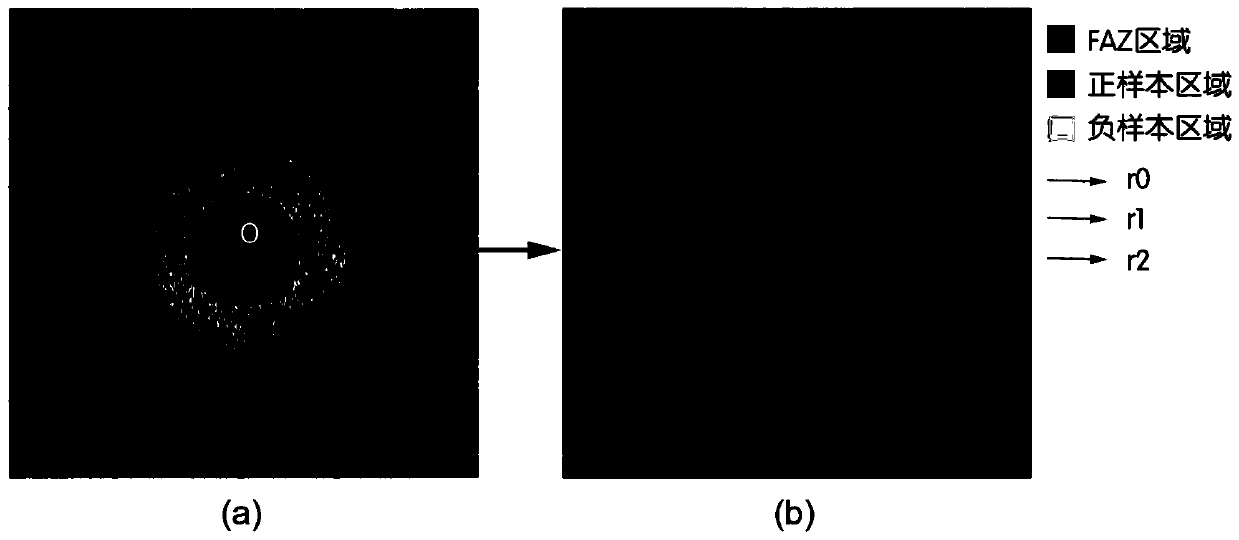 SD-OCT image macular fovea centralis center positioning method