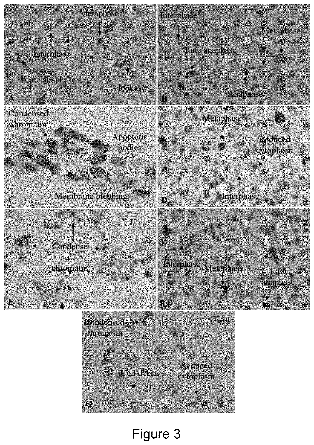 Anticancer Activity of Buddleja Saligna Compositions