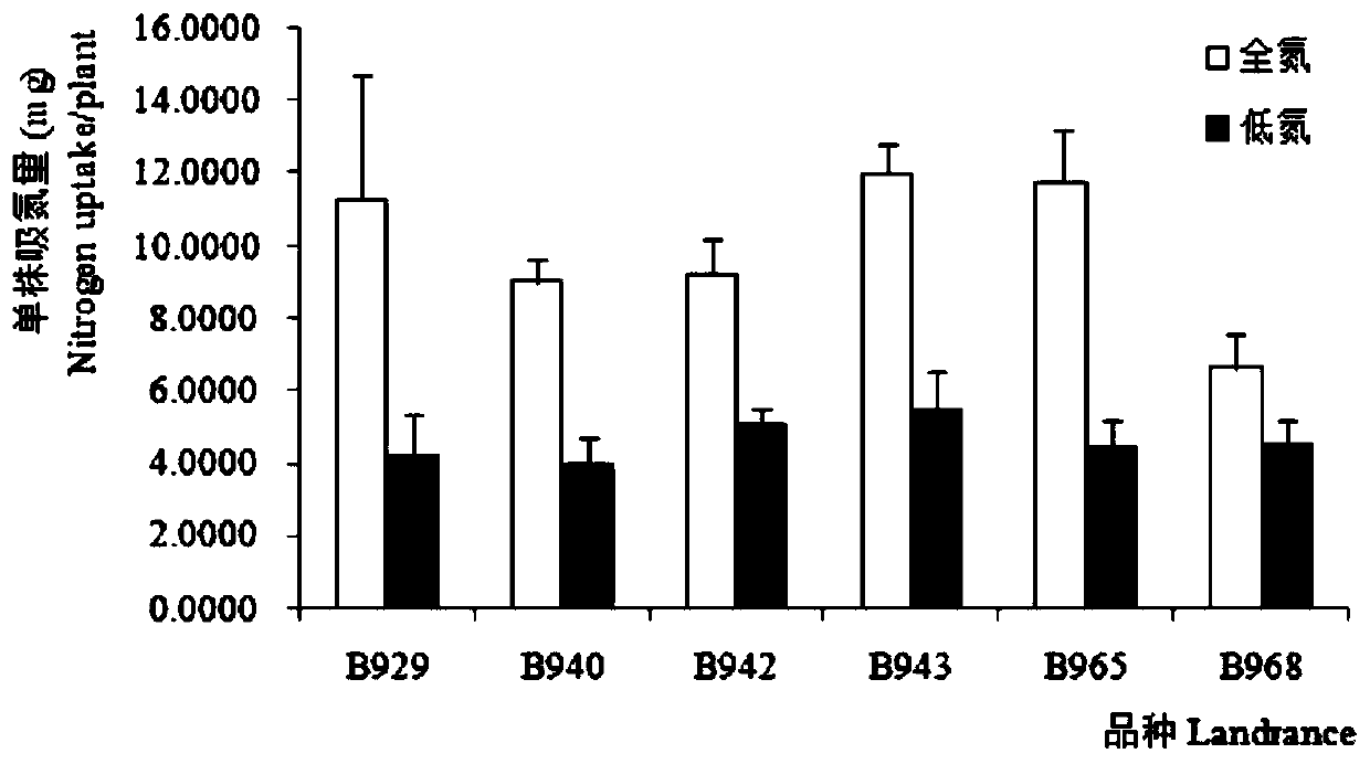 A screening method for low-nitrogen-tolerant barley