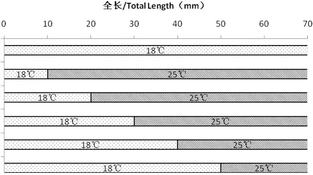 Method for determining sex differentiation phase of Scophthalmus maximus by means of high temperature induction