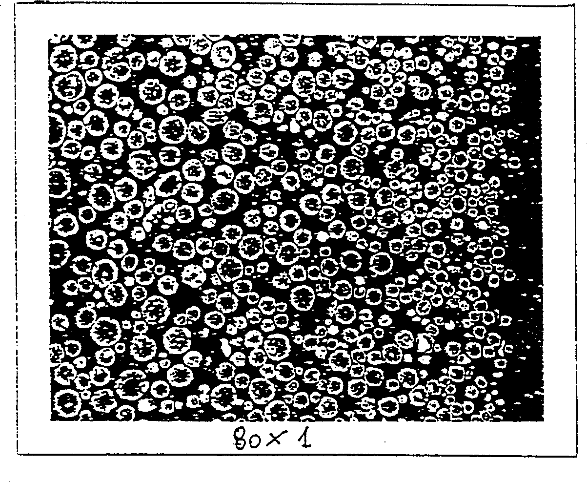 Method for preparing zeolite catalyst