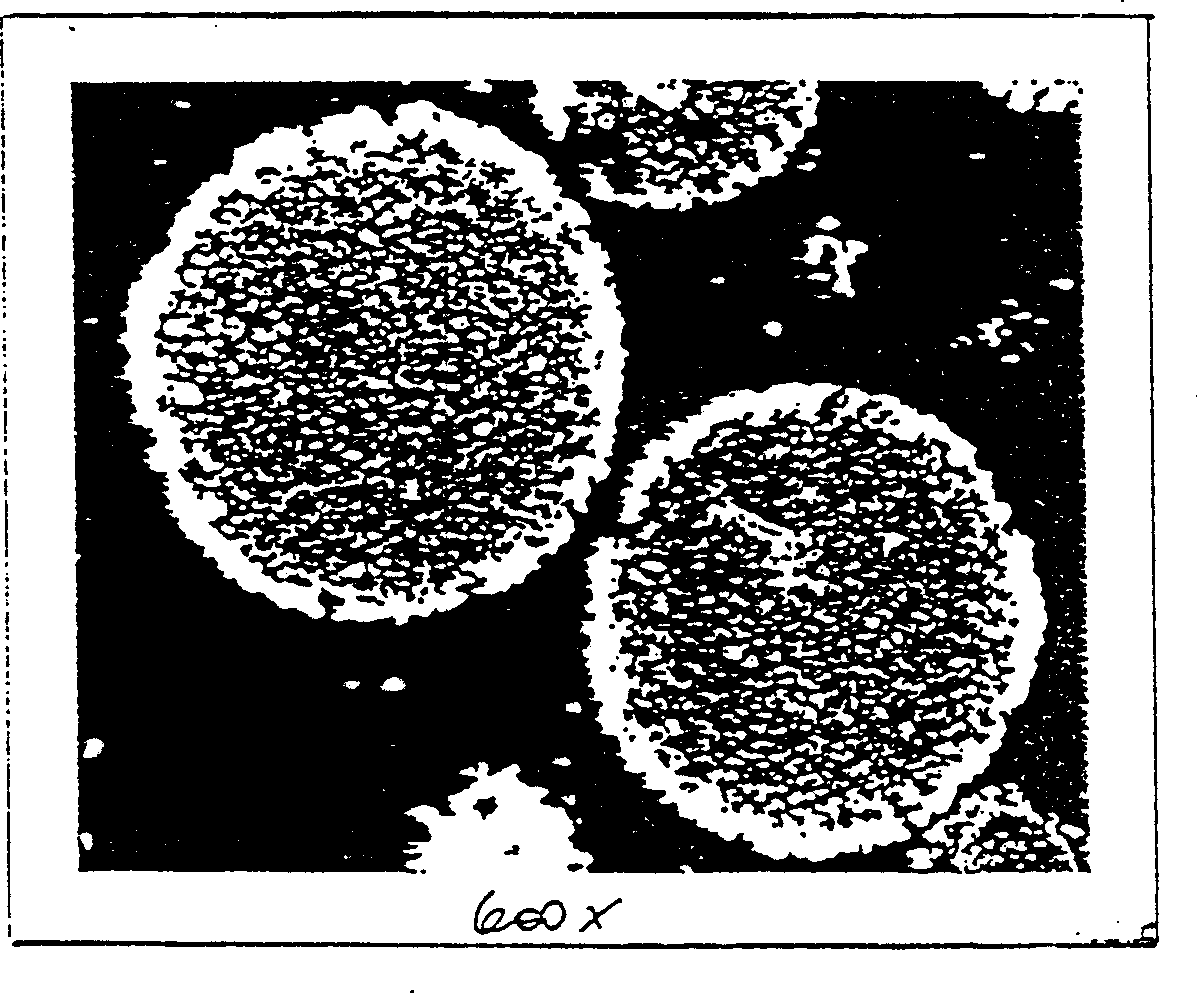 Method for preparing zeolite catalyst