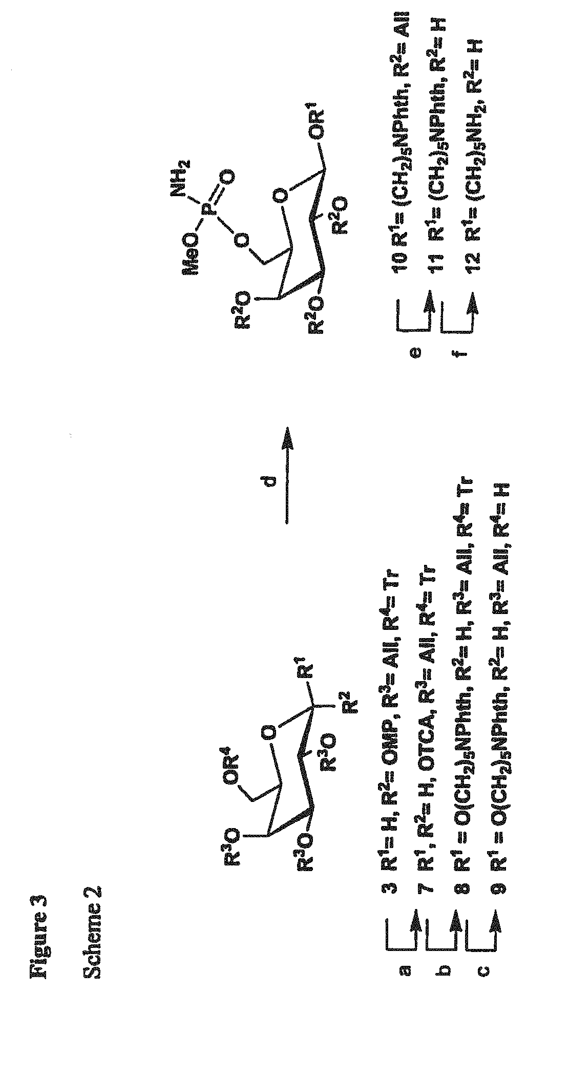 Synthetic Antigen Constructs Against Campylobacter Jejuni