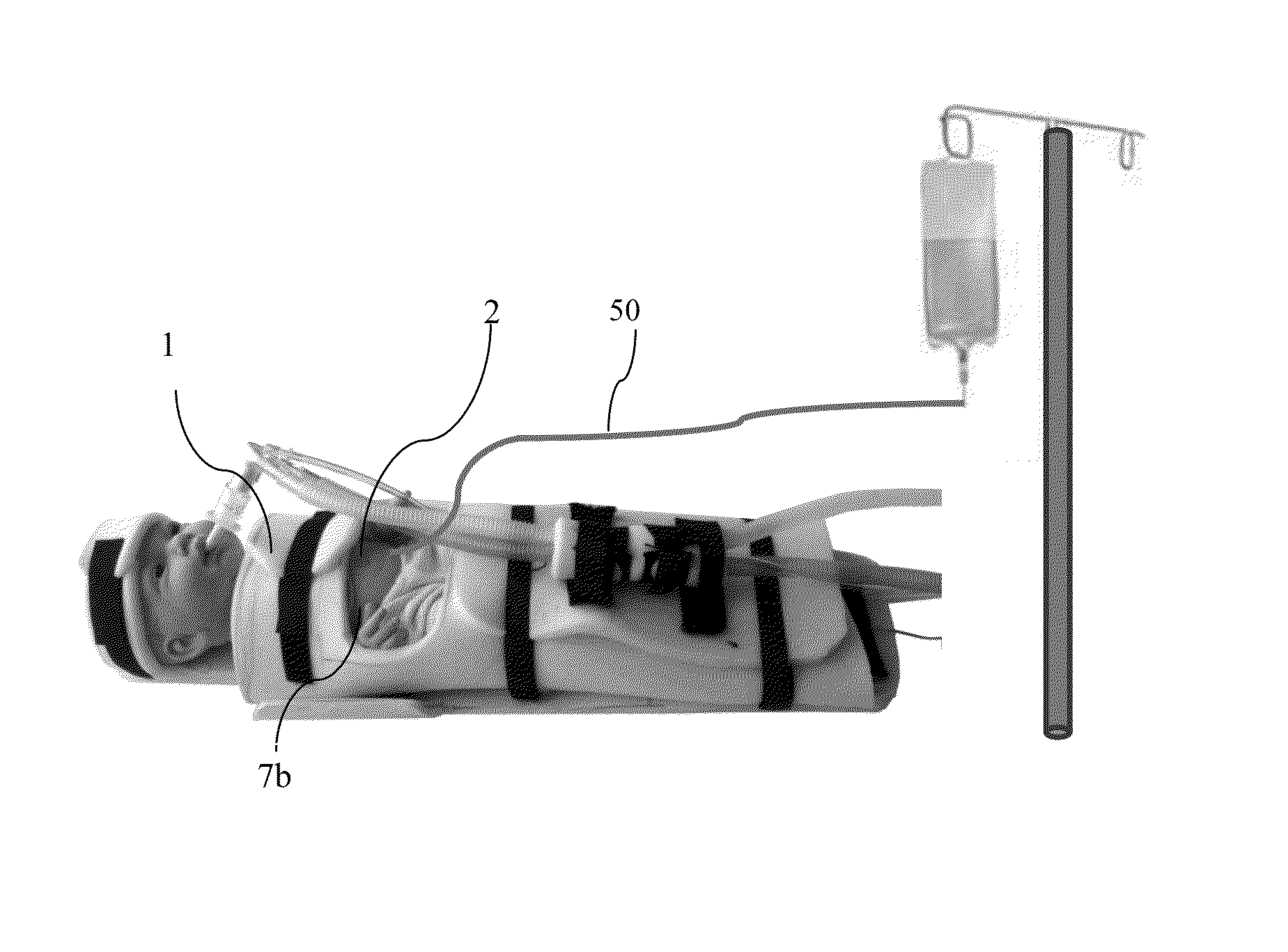 Neonate's immobilizing restrainer