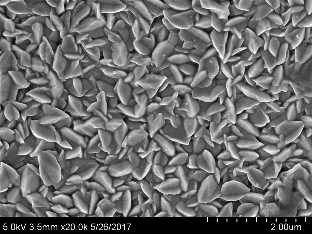 Nickel-boron-antimony co-doped tin dioxide electrocatalytic anode and preparation method and application