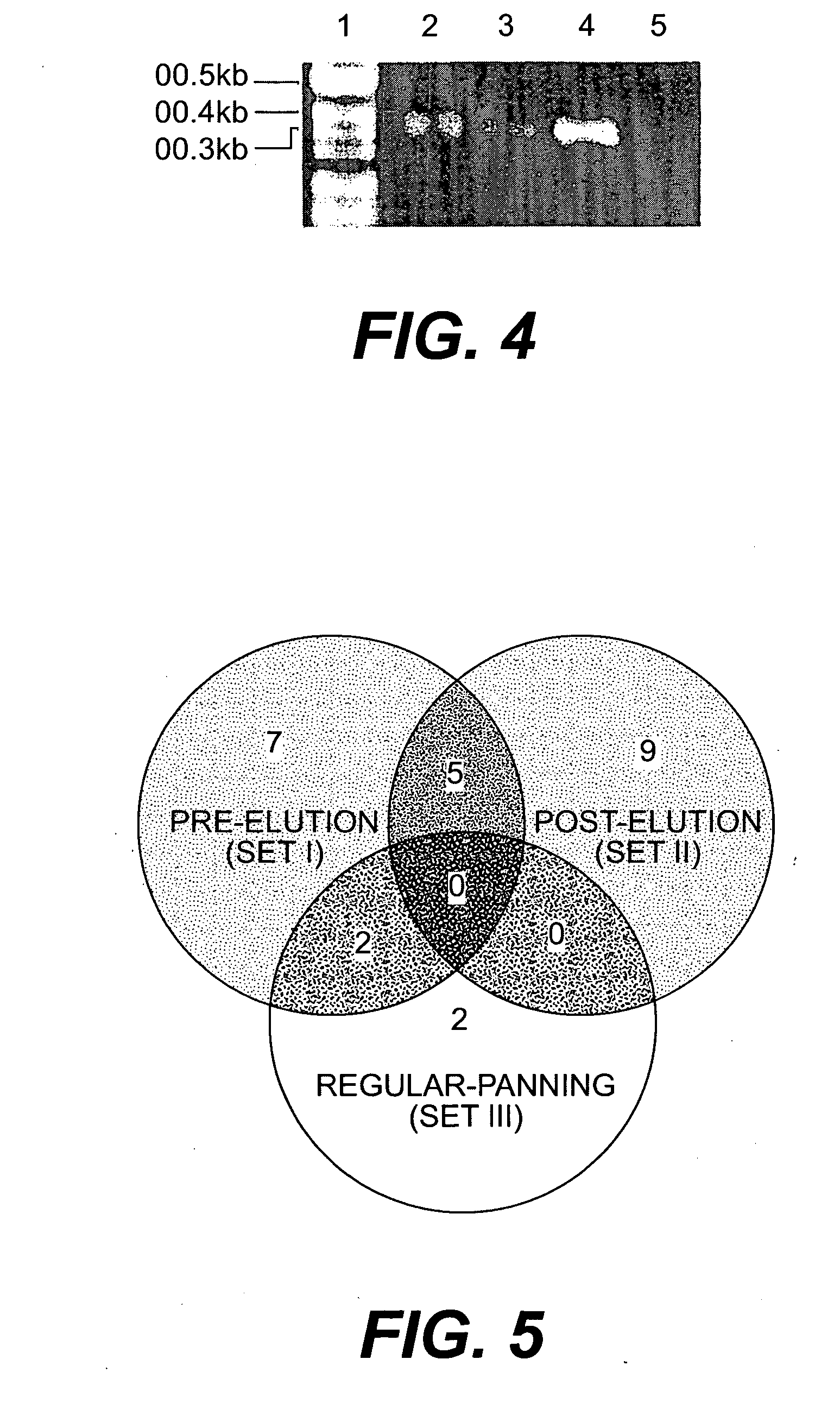 Peptide templates for nanoparticle synthesis obtained through PCR-driven phage display method