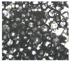 Preparing method of vitamin C microcapsule and application of vitamin C microcapsule in cigarette