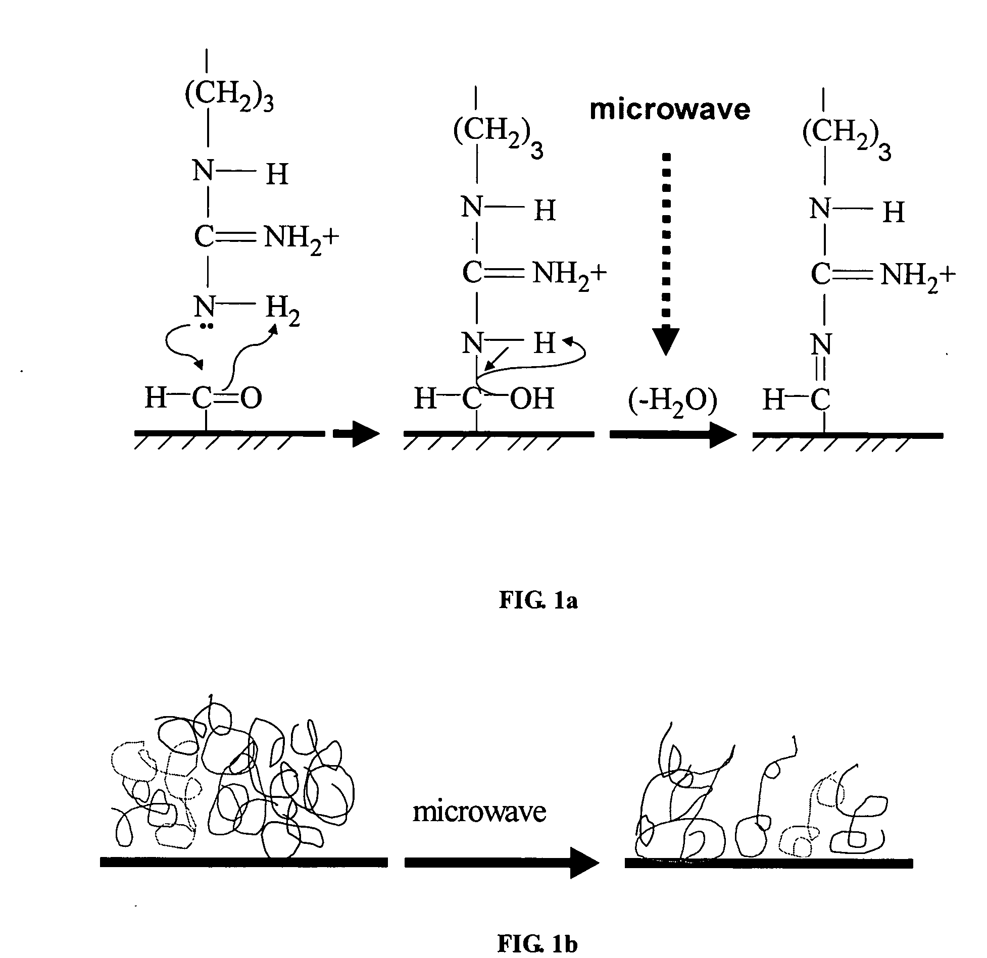 Method of microwave-assisted protein array fabrication and full automatic protein array system