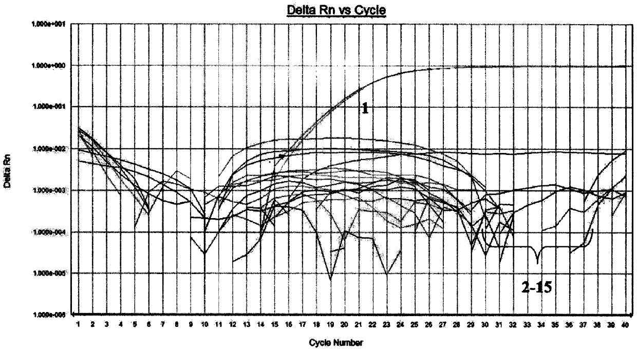 Real-time fluorescent quantitative PCR detection method of porcine-derived components in meat or meat products