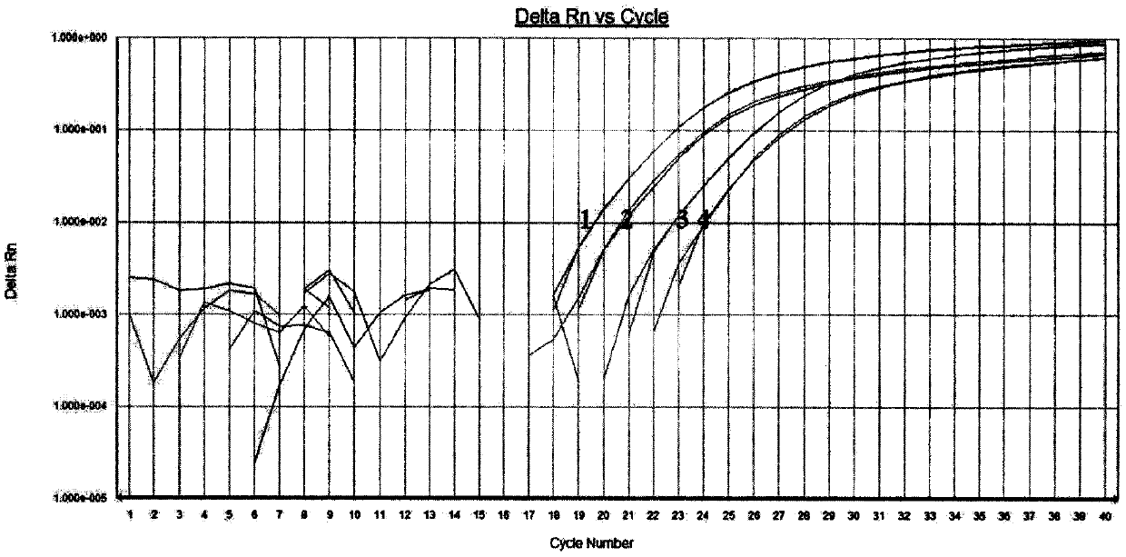 Real-time fluorescent quantitative PCR detection method of porcine-derived components in meat or meat products