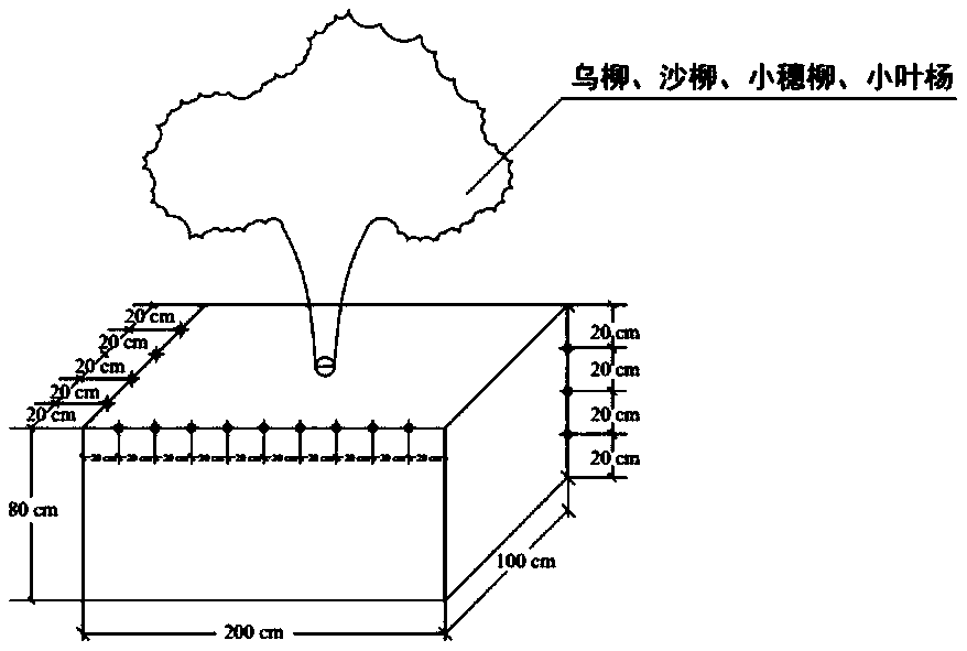 Integrated root sampling method for high-cold desert area