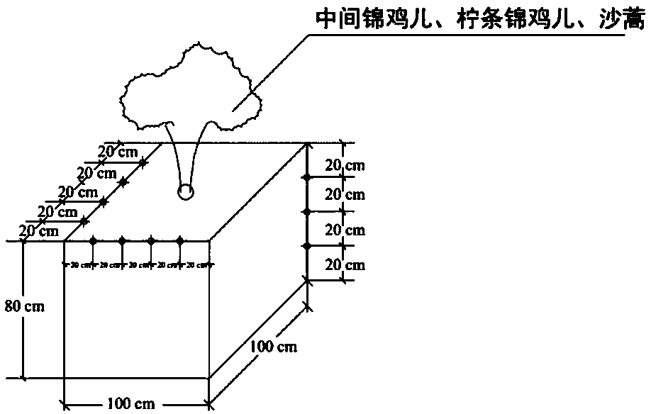 Integrated root sampling method for high-cold desert area