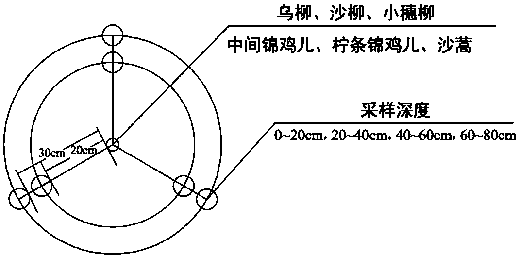 Integrated root sampling method for high-cold desert area