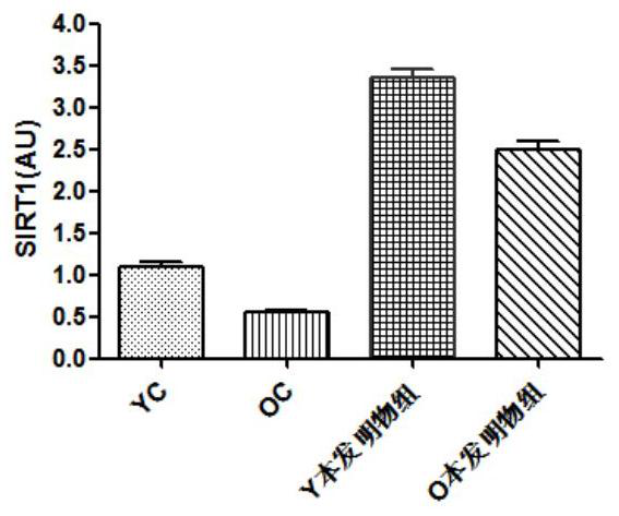 Application of the composition containing nicotinamide mononucleotide in anti-aging medicine/health product