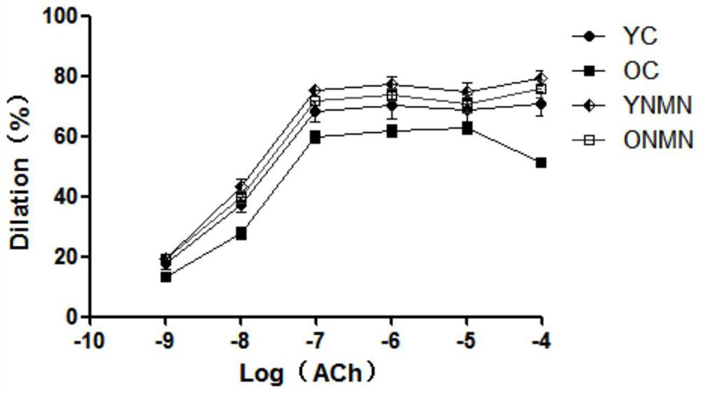 Application of the composition containing nicotinamide mononucleotide in anti-aging medicine/health product