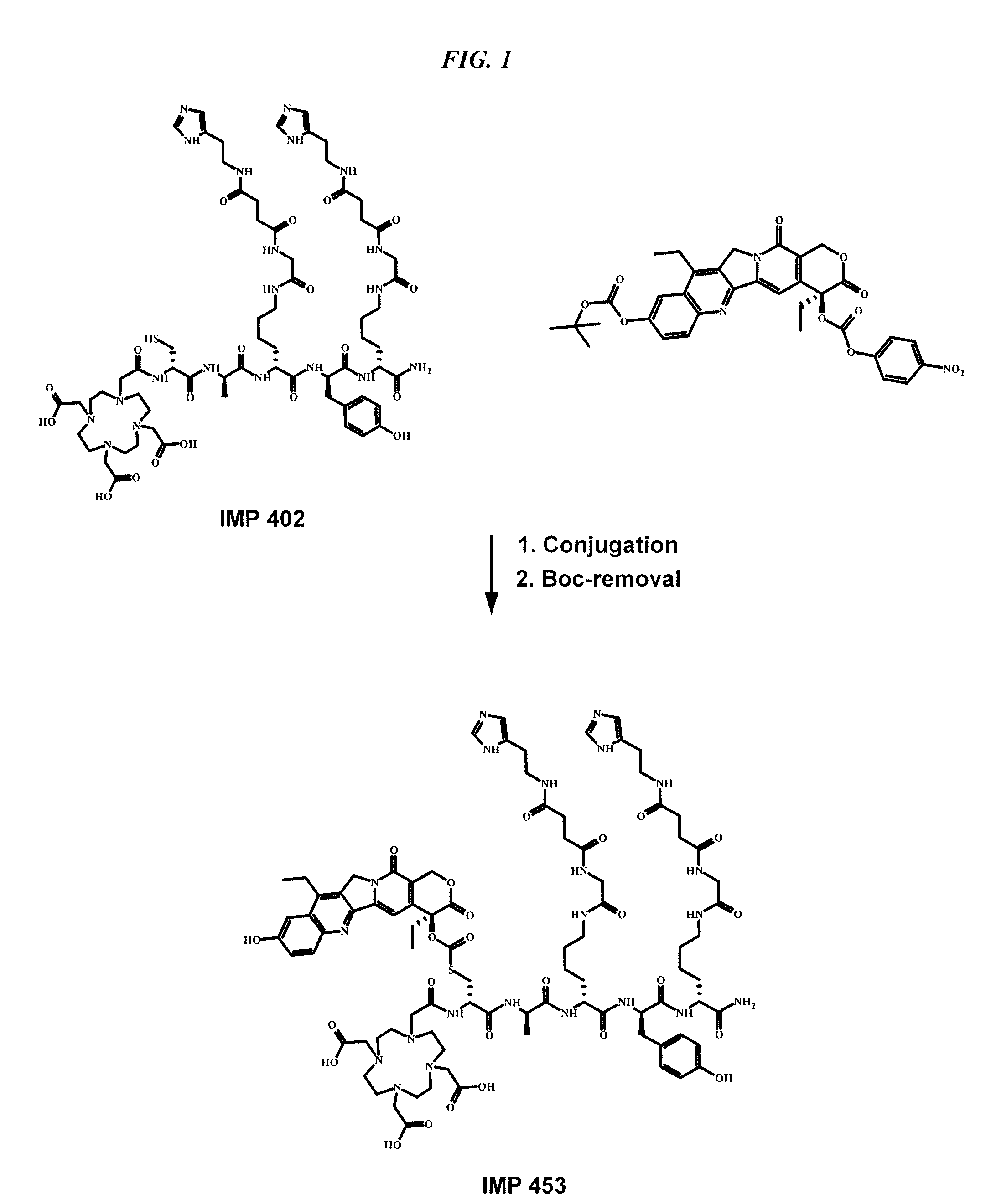 Delivery system for cytotoxic drugs by bispecific antibody pretargeting