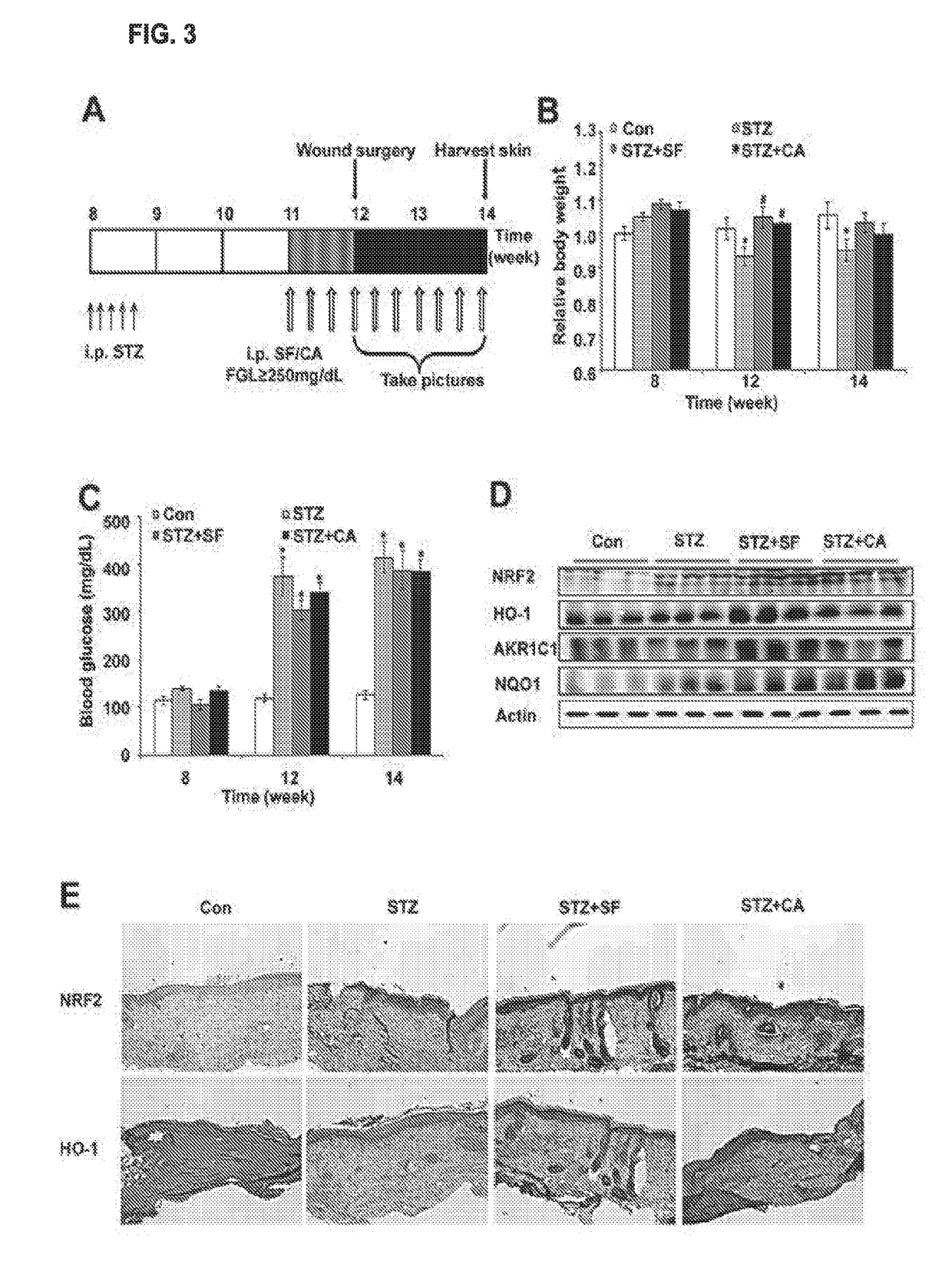 Compositions and methods for treatment, amelioration, and prevention of diabetes-related skin ulcers