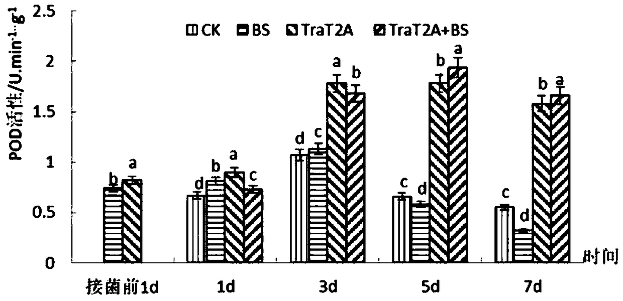 Plant immune resistant inducer and application thereof