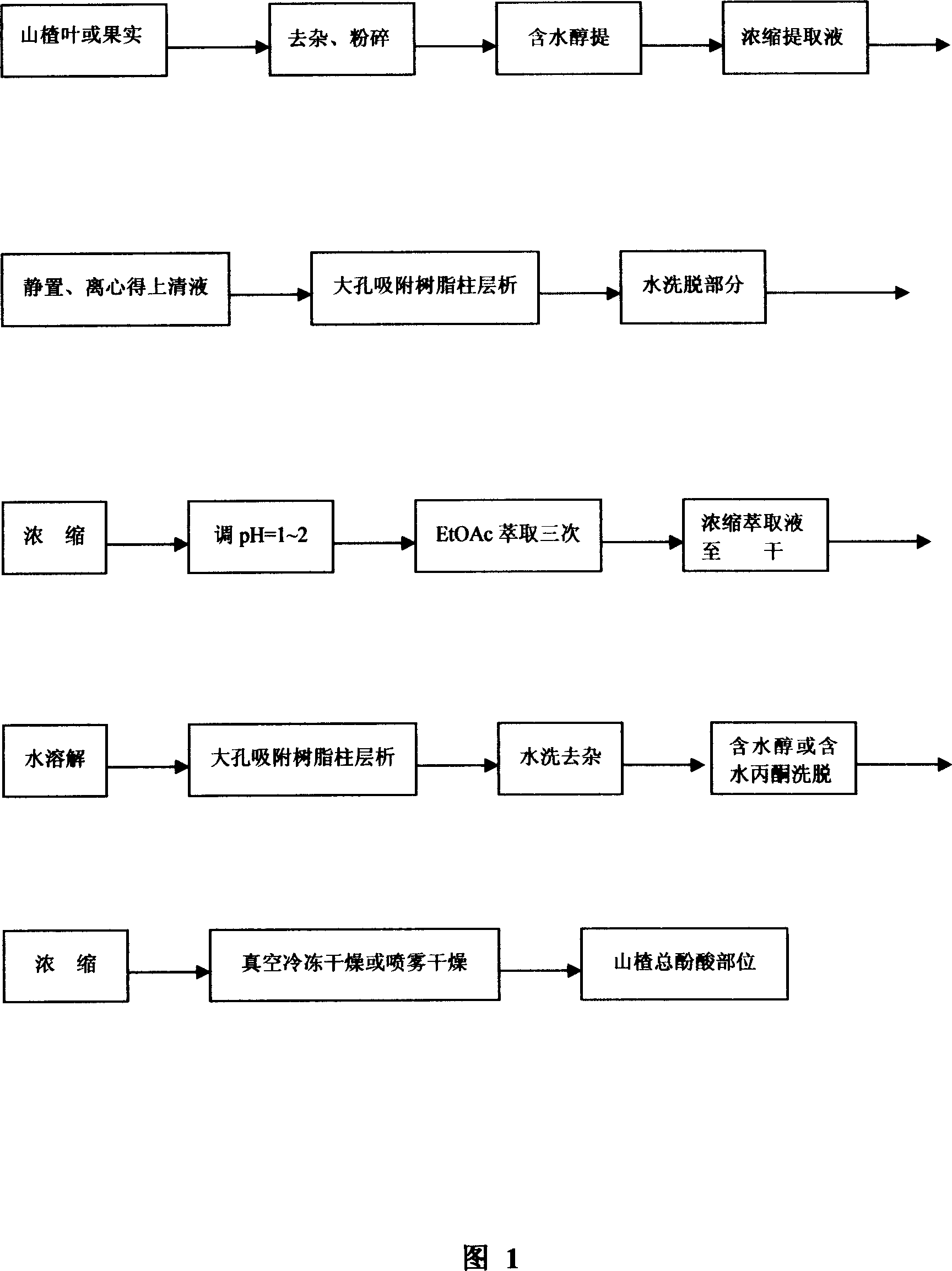 Technology for preparing haw total phenolic acid part