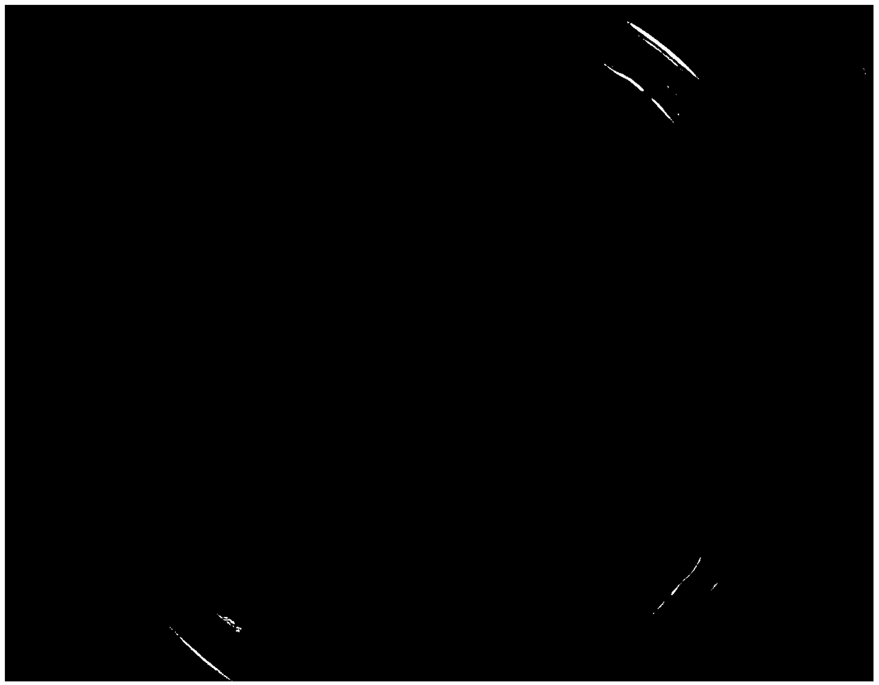 Lactobacillus plantarum capable of producing antibacterial peptide as well as application thereof