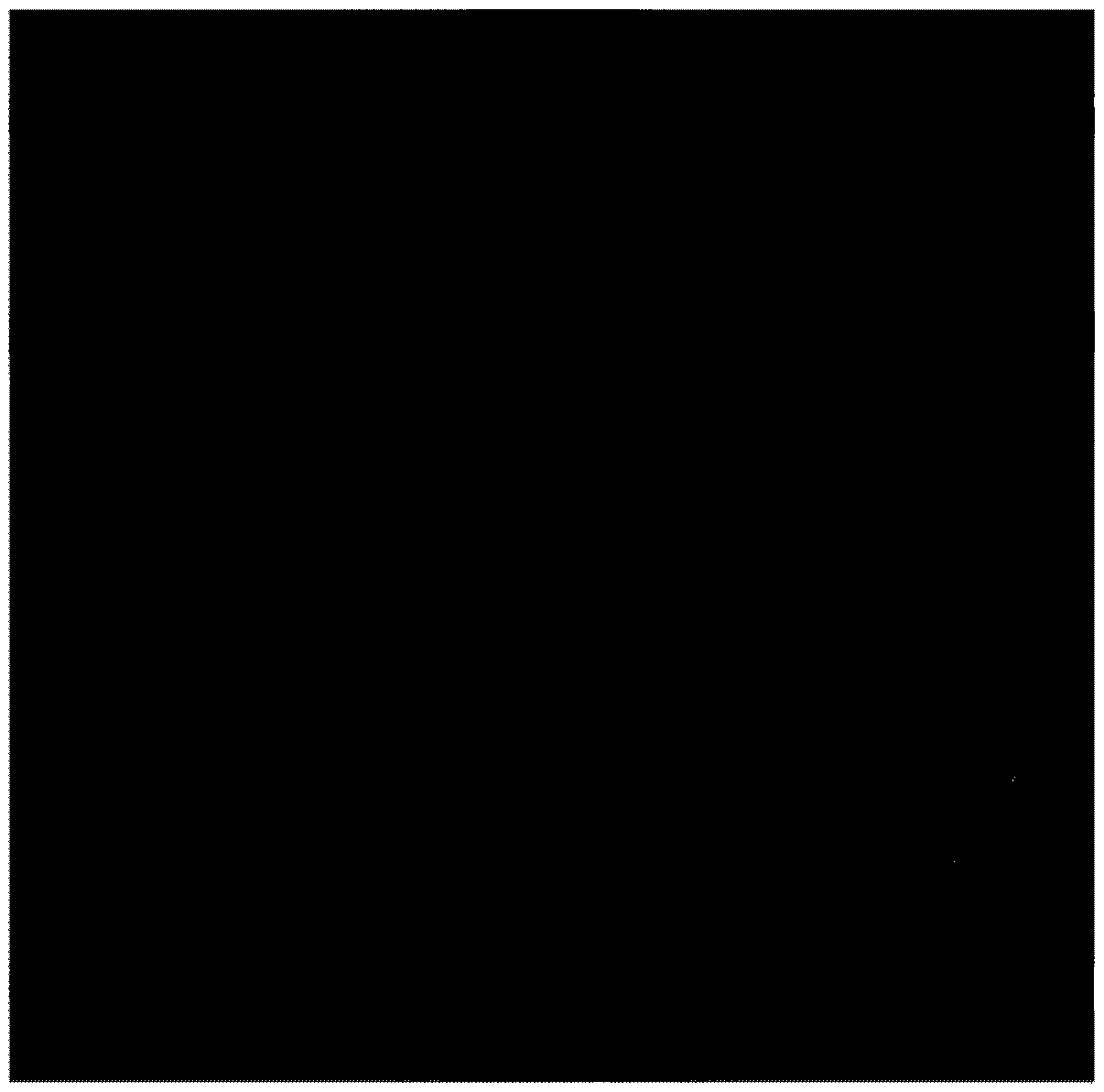 Lactobacillus plantarum capable of producing antibacterial peptide as well as application thereof