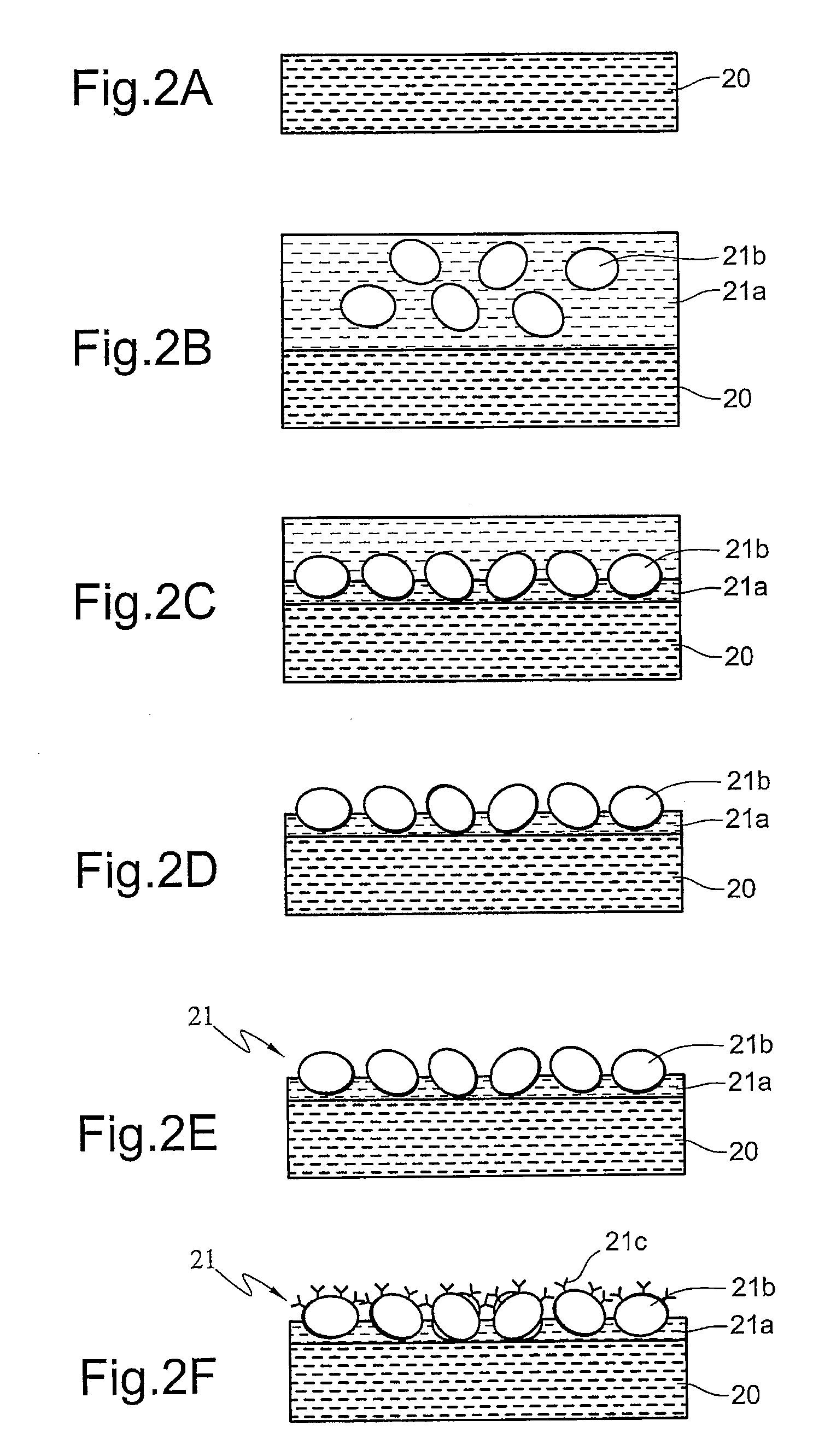 Method for formation of a stationary phase in an immunoadsorption wall