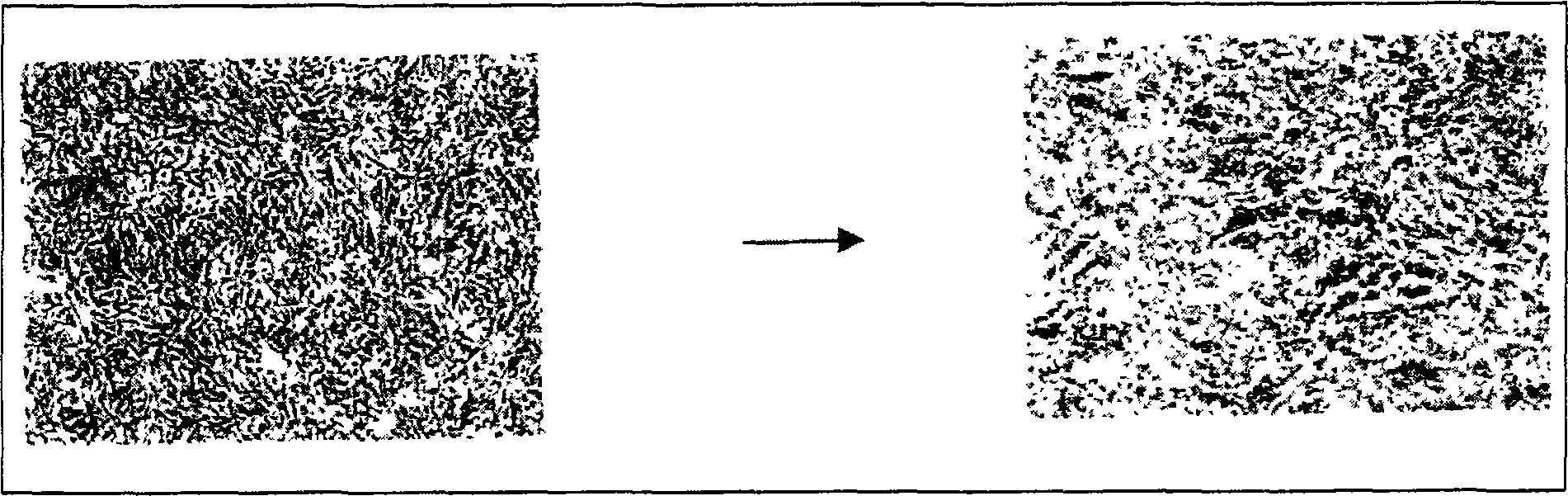 Composition for coating support for preparation of cell sheet, support for preparation of cell sheet and process for producing cell sheet