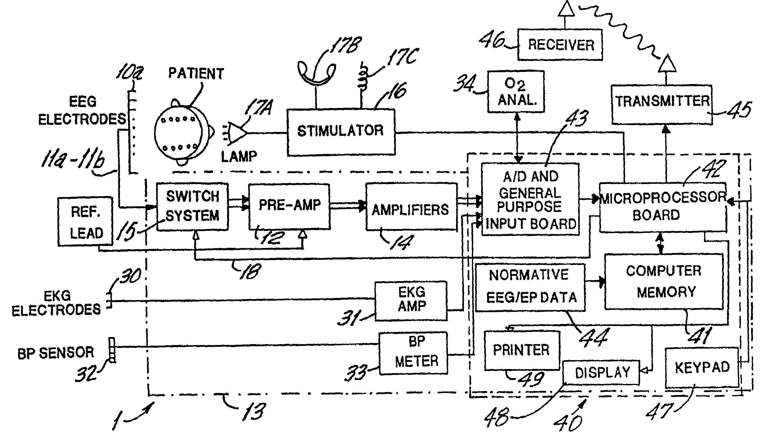 Brain function scan system